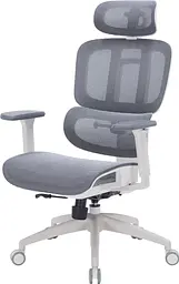Офісне крісло OfficePro Skyline OC680-W-DG-DG (OC680-W-DG-DG)