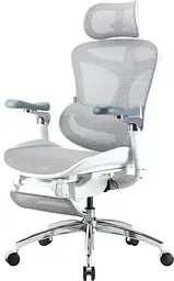 Офісне крісло Sihoo DORO C300 Pro Mesh White with footrest (DORO-C300-PRO-M102-JT) - мініатюра 3
