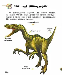 Енциклопедія дошкільника - Юлія Каспарова - мініатюра 5