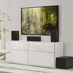 Сабвуфер Klipsch Reference Premiere RP-1000SW Black - мініатюра 11