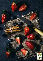 Саджанець Agro-Market Суницеполуниця Анастасія (середньо-пізній термін дозрівання) 5 шт. в пакуванні (37324) - мініатюра 3