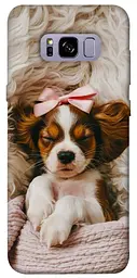 TPU чохол Demsky Sleepy spaniel для Samsung G955 Galaxy S8 Plus