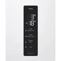 Холодильник LG GW-B509 FVFW - мініатюра 13