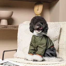 Дощовик Pet Fashion Jimi для собак, розмір S, зелений (лімітована серія) - мініатюра 6