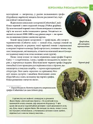 Енциклопедія для допитливих А5 : Хижаки (Українська, 01 КРЕЙДОВАНИЙ ) - мініатюра 3