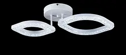 Люстра стельова LED Splendid Ray L2721/1+1, 48W, білий, з пультом, сучасний стиль - мініатюра 2