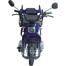 Трицикл акумуляторний FORTE CARGO-WS600 синій