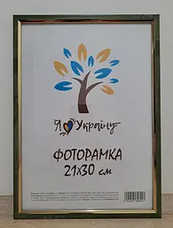Фоторамка 21Х30, (А4), оливкова з біло-чорними смужками із золотою вставкою, 1210-01719-5, СКЛО + КАРТОН    
