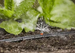 Мікронасадка Gardena Micro-Drip-System секторна 360 °, 5 шт (01365-29) - мініатюра 2