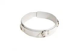 Нашийник Slave Leather Collar White від sLash - мініатюра 1