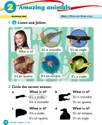Grammar Goals Level 1. Student's Book (+ CD-ROM) - Майкл Воттс - мініатюра 3
