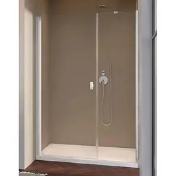 Душові двері Radaway Nes DWS 110 см 10028110-01-01L