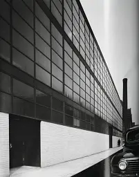 Mies van der Rohe - мініатюра 4