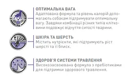 Вологий корм для дорослих кастрованих собак Royal Canin Neutered Adult Dog, шматочки в соусі, 100 г (1505001) - мініатюра 4