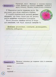 Твої досягнення. Українська мова. 3 клас. Тематичні діагностувальні роботи - мініатюра 10