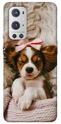 TPU чохол Demsky Sleepy spaniel для OnePlus 9 Pro