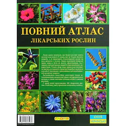 Повний атлас лікарських рослин - мініатюра 2