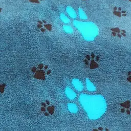 Килимок Jackson Textiles Big Paws turquoise 160х100 см (JT-032-1)