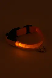 Led нашийник для собак на батарейках, розмір L 45-52 см, 2,5см ДМР1932 Жовтий (2000989398356A) shop (2000989398356) - мініатюра 3