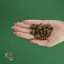 Сухий корм для дорослих собак малих порід Bravery з лососем 2 кг 04PE002000.0009.0192 - мініатюра 4