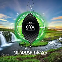 Ароматизатор для автомобіля K2 Oya Meadow Grass (V905) - мініатюра 3