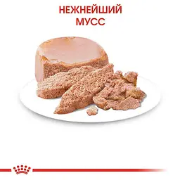 Вологий корм для кошенят до 4 місяців Royal Canin Babycat Instinctive, 195 г - мініатюра 4
