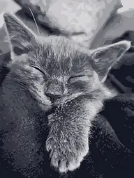 Картина за номерами. Art Craft Котяча подяка 40x50 см 11612-AC