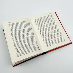 Таборові діти Любов Загоровська Видавництво Старого Лева, книга українською, тверда - мініатюра 3
