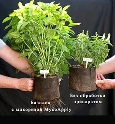 Ендо Мікориза 1,12 г Супер-концентрат - мініатюра 5