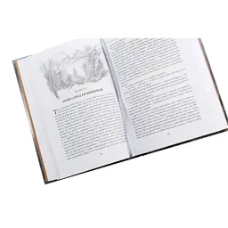 Книга Сказання про дітей Гуріна - Джон Р. Р. Толкін Астролябія (9786176641957) - мініатюра 5