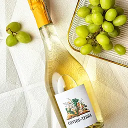 Вино ігристе Contos da Terra Brut біле брют 0.75 л 11.5% - мініатюра 3
