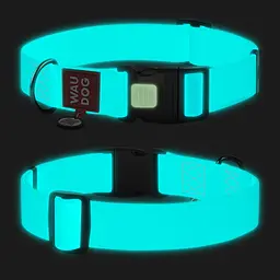 Нашийник для собак водостійкий Waudog Waterproof з QR-паспортом світлонакопичувальний пластиковий фастекс XXL Ш 40 мм Дов - мініатюра 5