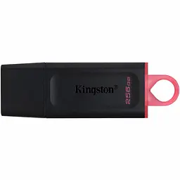 USB-флешнакопичувач Kingston 256GB DataTraveler Exodia чорний/рожевий USB 3.2 (DTX/256GB)