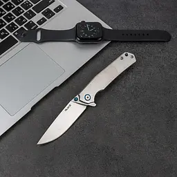 Ніж складаний Ruike P801-SF - мініатюра 14