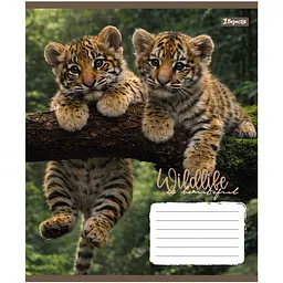 Набір зошитів 1 Вересня Wildlife is beautiful А5 18 аркушів у клітинку 25 шт. (769144) - мініатюра 2