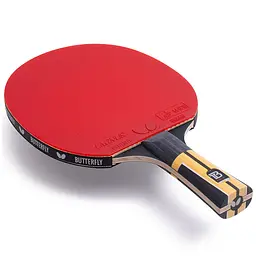 Ракетка для настільного тенісу Butterfly Timo Boll Force FL (6110300002) - мініатюра 3