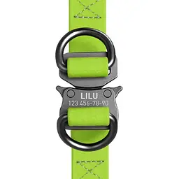 Шлея для собак Waudog Waterproof водостійка з QR паспортом, металічна пряжка-фастекс, салатовий - мініатюра 3