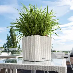 Вазон Lechuza Cottage Cube, 12 л, мокко (15375) - мініатюра 7