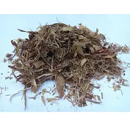 Ліщина Кора Горішник Орішина Лісовий горіх Corylus avellana - мініатюра 1