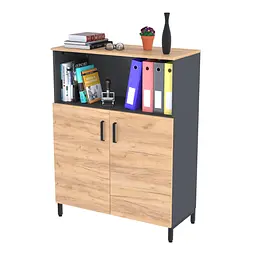 Тумба офісна LTO-900-1200 Loft Design (Дуб Крафт золотий)