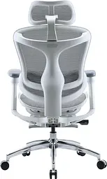 Офісне крісло Sihoo DORO C300L Mesh White with footrest (DORO-C300L-A3-102-JT) - мініатюра 2