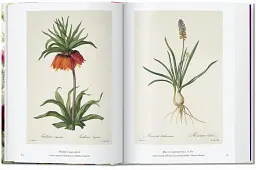 Redouté. The Book of Flowers - мініатюра 3