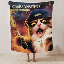 Плед плюшевий патріотичний 3D Котяча Революція 160х200 см - мініатюра 2