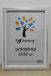 Фоторамка 21Х30, (А4), біла зі срібною змійкою, 2416-015-3S, ОРГСКЛО+ДВП                                                                           