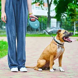 Повідець-рулетка для собак Waudog R-leash з контейнером для пакетів, світловідбивна стрічка, L, до 40 кг, 5 м, блакитний - мініатюра 8