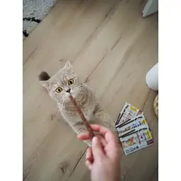 Ласощі для котів GimCat Sticks індичка та кролик 4 шт. - мініатюра 5