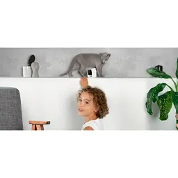 Камера відеоспостереження за домашніми тваринами Petcube Cam CC10US [87035] - мініатюра 9