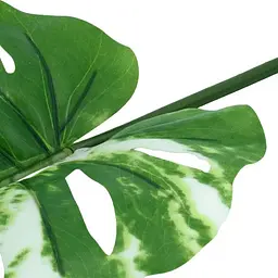 Штучне листя Engard Monstera Alba 73 см (TW-54) - мініатюра 3