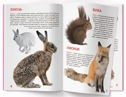 Велика книжка. Дикі тварини - мініатюра 2