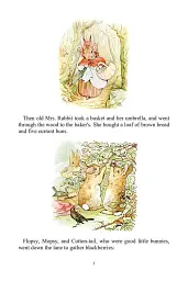 Peter Rabbit 23-Volume Library Collection - мініатюра 9